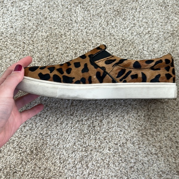Steve Madden “Eccentric” Leopard Calf Hair Slip On Sneaker, 8 - Picture 6 of 13
